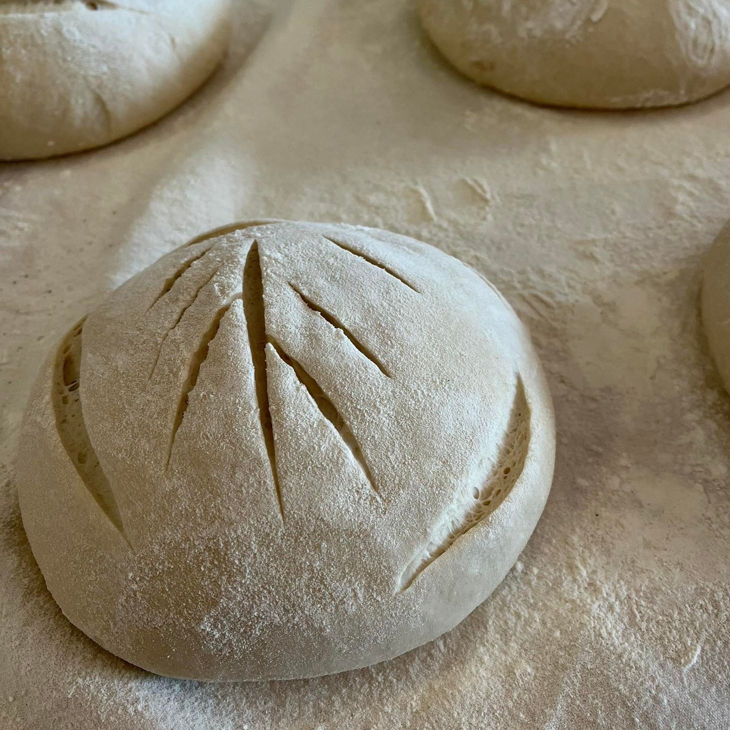 29/05: Woensdag = brood op de plank